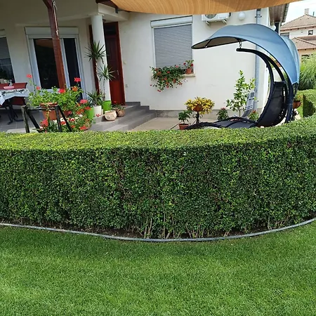 Nemeti Apartmanhaz شقة